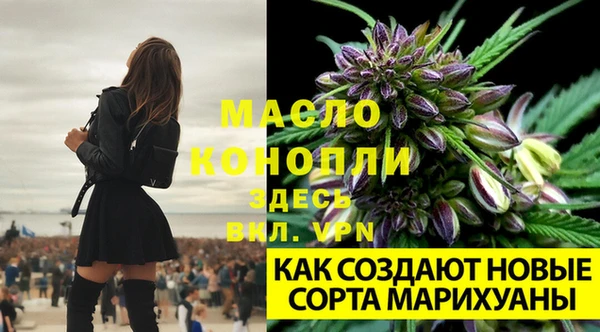 стафф Кинешма